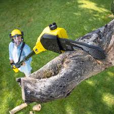 Best Leaf Removal  in Village Green Green Ridge, PA
