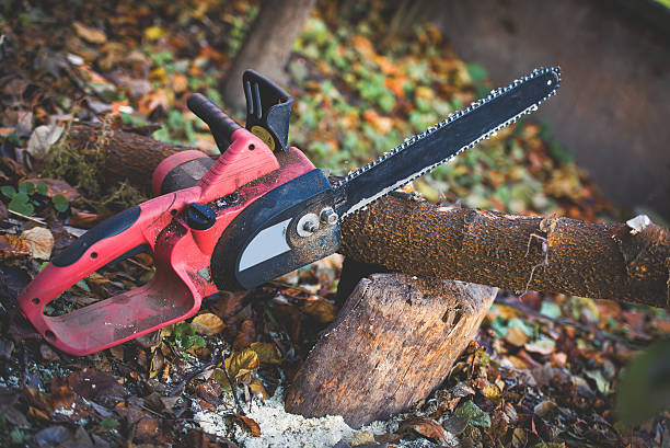  Village Green Green Ridge, PA Tree Care Pros